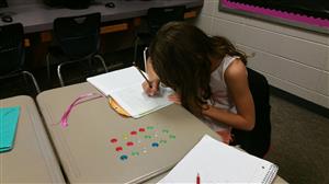 Math Journaling